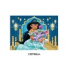 RZDQZY Princess Jasmine Photo Backdrop - Pink Fabric, Medium/Large Size,