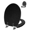Angol Shiold Black Round Resin Toilet Seat Soft Close Quick