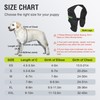 KISFLY Dog Elbow Brace Protector Pads for Canine Elbow and
