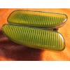 Shepherd Enterprises 1994-2004 Mustang Fog Lights Tint (Yellow) GT/V6