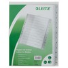Leitz Plastic Index (1-12, A4, PP, 12 Sheets), Grey