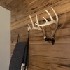 RACK HUB RH2 Match Set Antler Mounting Kit