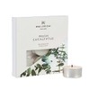 Wax Lyrical Box of 9 Scented Tealights, Fresh Eucalyptus, Multi,