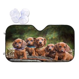 Delerain Funny Cute Dachshunds Puppy Custom Car Windshield Sun Shade, Universal Size Foldable Car Front Window Sunshade, Block Sun Glare, UV and Heat, Keep Your Car Cool (55" x 30")