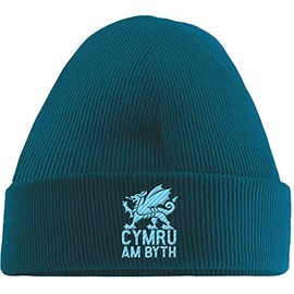 Hippowarehouse Cymru am Byth Wales Embroidered Beanie Hat Blue with Baby Blue Stitch