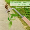 OFFCUP Stainless Steel Weed Remover Weeder Weeder Weed Remover Device