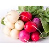 RAISE ME UP: Seeds Radish Easter Egg Mix Rapid Yield