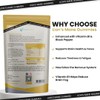 Lions Mane Gummies 4000mg | Super Strength Lion's Mane Supplement