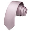 HISDERN Tie Men's Slim Ties for Men Solid Silk Tie