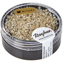 RAYHER 14760606 Delica Rocailles 1.6 mm Diameter Metallic 4 g Box Silver