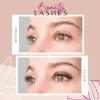 Kit De Extensiones De Pestañas Beauty Lashes By Gentile Stor