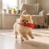 Squeaky Rubber Dog Chew Toy for Play & Training –