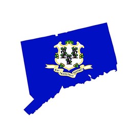 fagraphix Connecticut State Shaped Flag Sticker Self Adhesive Vinyl Decal CT