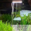 LED Plant Growing Lamp Full Spectrum Retractable Adjustable Brightness Plant