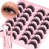 Losha Lashes Fluffy False Eyelashes 5D Volume Eye Lashes Kit