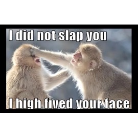 "Handmade" I did not slap you I high fived your face monkeys hitting silly animals MAGNET