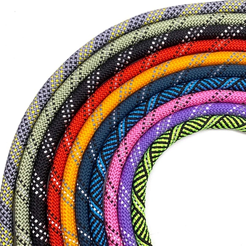 Locking Carabiner Rope Dog Leash for All Breeds | Reflective