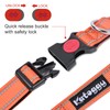 Katoggy Reflective Dog Collar, Adjustable Basic Dog Collar with Safety