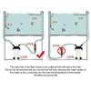 Aquarium External Temperature Controller Water Heater Rod for Fish Tank