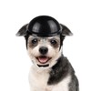 Lesypet Dog Helmet, Dog Motorcycle Helmet Dog Hat Safety Hat
