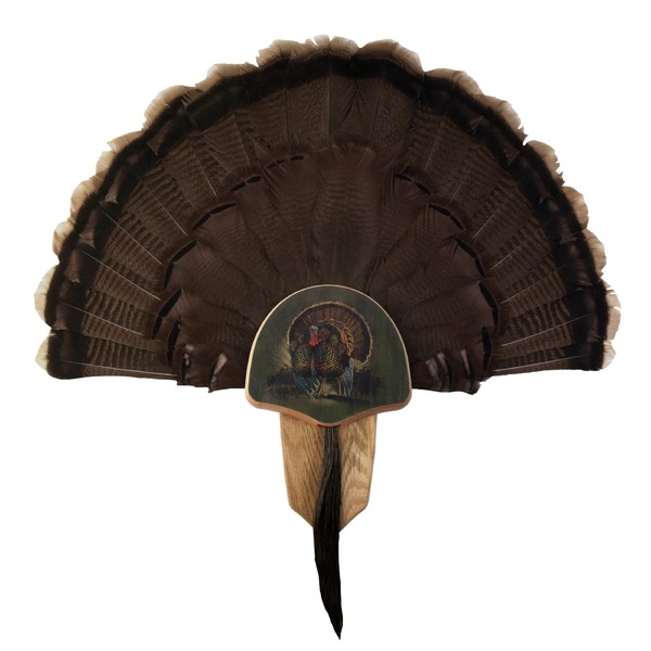 Walnut Hollow Country Turkey Fan Mount & Display Kit, Oak with Drumsticks Image