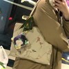 Sewing Pouch, 5.9 inches (15 cm), Plush Carrying Bag, Pushing