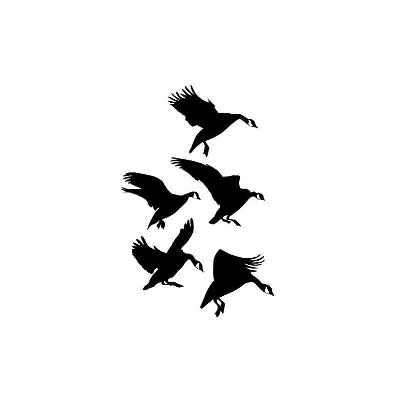 Landing in The Spread Goose Trailer Wall Decal Goose Decal