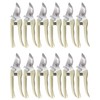 BINCKIN Pruning Shears for Gardening, 12 Pcs Garden Shears, Flower