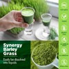 Synergy Natural Organic Barley Grass Powder 100g