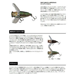 Smith LTD Omi Cicada Lure No. 34 Chart Head