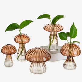 Glasseam Mushroom Plant Propagation Stations: Amber Glass Terrarium Jar Set of 5 Cute Planters for Indoor Plants Mini Propagate Station Unique Christmas Birthday Gifts for Women Home Office Decor