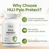 HUJ Pylo Protect - Lactobacillus Reuteri Supplement - Supports Healthy