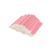 200 PCS Disposable Lip Brushes Lipstick Lip Gloss Wands Applicator