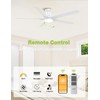 DAMINY 52 inch Ceiling Fans with Lights,5 Blades,6CCT, Remote Control