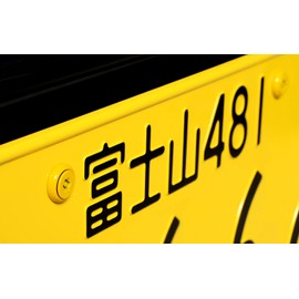 Pintrux Sala License Plate Bolts Stainless Steel (Yellow), 4 Pieces & Tool Set M6 x 20