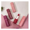 Lapiz Labial Color Mate Silky Saturados Larga Duración