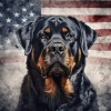Rottweiler Dog Breed Patriotic American Flag Beverage COASTER