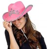 Rhode Island Novelty Child Pink Cowboy Hat with Blinking Tiara
