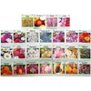 Set of 50 Flower Seed Packets! Flower Seeds in Bulk,