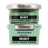 Seggiano Organic Semi Fresh Herbs - Mint