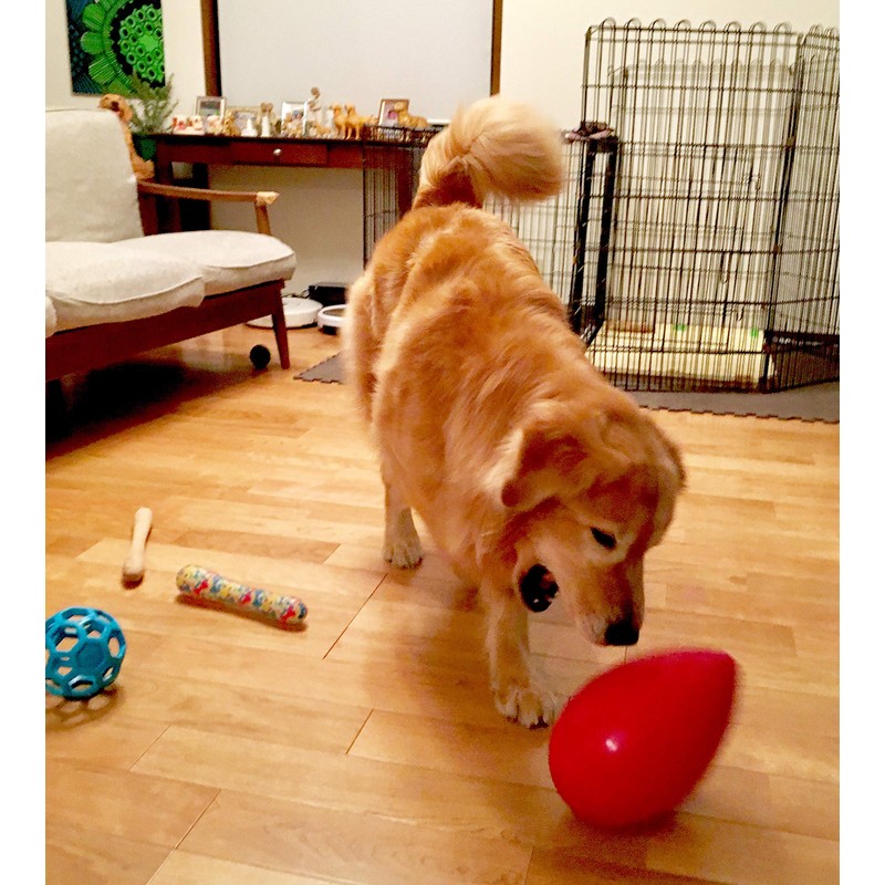 PLATZ PET SUPPLIES & FUN Dog Toy, Mega Egg, Large