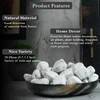 Howlite Tumbled Stones and Crystals Bulk Polished Stones 1,000+ Carats