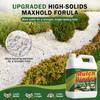 Teexpert Ready-to-Use Mulch and Rock Glue with Electric Sprayer, 1