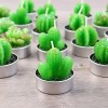 Vela Perfumada Con Diseño De Cactus En Maceta, 24 Piezas