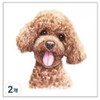 Gel Luna dog cat tattoo tattoo sticker, 2 pieces, T-421 / 젤루나 강아지 고양이 문신 타투 스티커, 2개, T-421