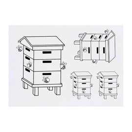 Azeeda 4 x 'Bienenstock' Temporäre Tattoos - Wasserfest, Hautfreundlich & Ungiftig · Transfers in Verschiedenen Größen (TO00082506)