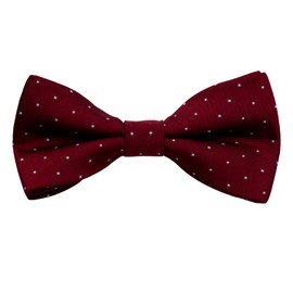 Alizeal 8-12-year-old Boys Printed Fun Novelty Pre-tied Kids Bow Tie, Maroon Dots