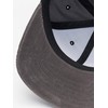 Reell Pitchout Cap, gray