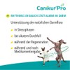 Canikur Pro Ergänzungsfuttermittel Paste für Hunde/Katzen, 1er Pack (1 x