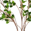 HANDIC 3 Pcs Faux Stems Artificial Branches for Vase Greenery